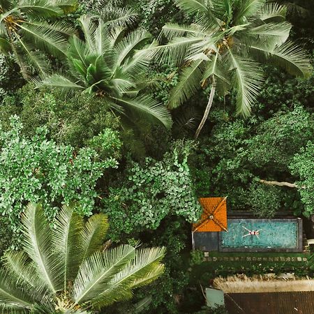 The Nest In Ubud, Bembengan Cottage Zewnętrze zdjęcie