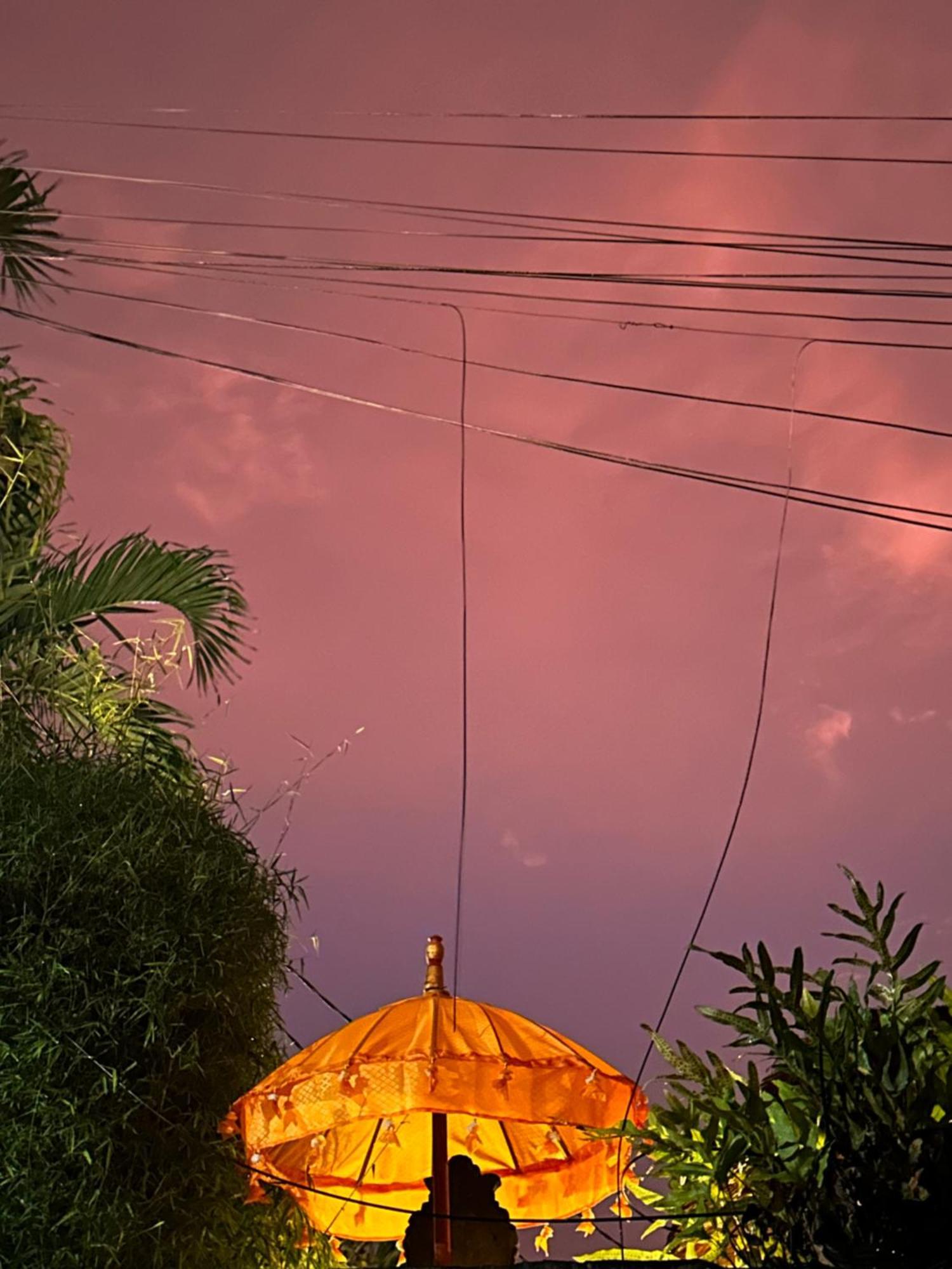 The Nest In Ubud, Bembengan Cottage Zewnętrze zdjęcie